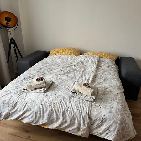 Apartman Spacious Flat Near Center *